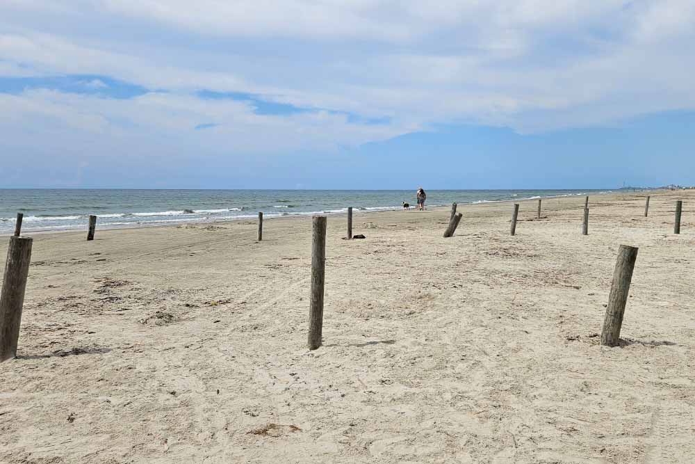 East Beach Galveston s Best Known Entertainment Party Beach